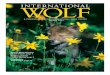 A PUBLICATION OF THE INTERNATIONAL WOLF CENTER SPRING 2001 · 2 As a Matter of Fact 3 From the Executive Director 14 International Wolf Center Notes From Home 17 Tracking the Pack