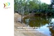 What does the Draft Basin Plan mean for northern …environmentvictoria.org.au/.../Northern-Victorian-rivers.pdfThe Murray‐Darling Basin Authority (MDBA), which has responsibility