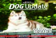 A NESTLÉ PURINA PUBLICATION DEDICATED TO DOG ENTHUSIASTS ... · SIBERIAN HUSKY OWNERS CAN CONTRIBUTE TO RESEARCH Genetic samples of DNA from Siberian Huskies with a history of primary