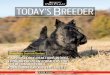 TODAY’S BREEDER - Dog Home | Purina® Pro Club®...Energy fuels a dog’s performance at field trials and athletic competitions. When a dog food provides the right levels of energy