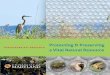 Protecting & Preserving - University Of Maryland · Preserving the Ecosystem Denise Breitburg, biology, ... mid-Atlantic Regional Earth Science Applications Center (RESAC), he has