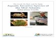 The Good, the Bad, and the Ugly: Aquatic Invasive Species of the … · 2020-04-28 · Aquatic Invasive Species of the Mid-Atlantic Education Guide ... Invasive species can be plants,