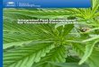 Integrated Pest Management for Commercial …...Integrated Pest Management ProgramCommercial Cannabis 3 Integrated Pest Management (IPM) IPM is a decision-making process for managing