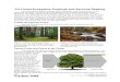 5.2 Forest Ecosystem Products And Services Reading...Carbon: Transformations in Matter and Energy 2019 Michigan State University 5.2 Forest Ecosystem Products and Services Reading