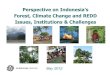 Perspective on Indonesia’s - cifor.org Brown.pdf · • Challenges: Money, palm, peat, pulp, politics, fire, poverty Opportunities • Globally significant targets: 26-41% from