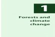 Forests and climate changeForests and climate change ... biodiversity or the income-generating capacity of a community, but the nature and extent of these co-benefits depend on how