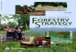 37696 Public Disclosure Authorized FORESTRY East Asia ... · E. Decentralization and Community Tenure 15 3 The Forest Management Challenge 19 A. Natural Resource Management Framework