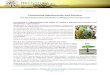 Combining Agroforestry and Biochar · Agroforestry is a set of land management techniques involving the ... ecological soil amendment for both soil health and carbon sequestration