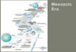 Mesozoic Era - Lynn Fuller's ... The Diversity of Life during Mesozoic â€¢ At the beginning of Mesozoic,