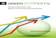 Using indicators for green economy policymaking · economy and the environment (forest cover) in Borneo ... coherent and inclusive green economy strategy. This paper is applicable