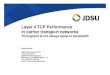 Layer 4 TCP Performance in carrier transport networks · 2012-11-07 · Layer 4 TCP Performance in carrier transport networks Throughput is not always equal to bandwidth Roland Stooss