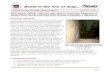 F2014-24 Shift Safety Officer Falls through Hole in …Page 1 September 21, 2015 2014 24 Shift Safety Officer Falls through Hole in Floor into Basement of Vacant Row House and Dies
