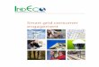 Smart grid consumer engagement - IndEco: consultants on ... · advanced metering infrastructure Smart meters operate digitally and allow for automated transfer of energy use information