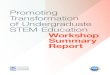 Promoting Transformation of Undergraduate STEM Education … · Promoting Transformation of Undergraduate STEM Education Workshop Summary Report i Promoting Transformation of Undergraduate