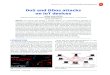 DoS and DDos attacks on IoT devices · the attacks was a special model of the video camera (over 66% of attacks). Keywords: Denial of Service, Distributed Denial of Service, Internet