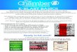 Chamber E-Blast Basicslawrencechamber.com/.../04/Chamber-E-Blast-Basics.pdf · E-BLAST BASICS One of The Chamber’s most popular marketing vehicles is our e-blast. One dedicated
