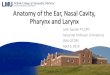 Anatomy of the Nasal Cavity, Pharynx and Larynx Anatomy of the Ear, Nasal Cavity, Pharynx and Larynx