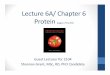Lecture 6A/ Chapter 6 Protein - Cape Breton Universityfaculty.cbu.ca/ebarre/lecture 2104-6sg(forwww).pdf · • Building blocks for most body structures • Replacement of dead or