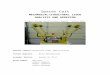 Introductionweb.cecs.pdx.edu/~far/Past Capstone Projects/Capsto… · Web viewProduct Design Specifications Report - Winter 2016 Sponsor company:Bonneville Power Administration Contact