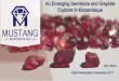 An Emerging Gemstone and Graphite Explorer in Mozambiquemedia.abnnewswire.net/media/en/docs/ASX-MUS-6A862178.pdfAn Emerging Gemstone and Graphite Explorer in Mozambique AGM Presentation