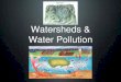 Watersheds & Water Pollution · 2018-03-26 · Water Pollution • Healthy watersheds are important for a healthy environment and economy because they provide water for drinking,