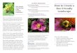 For $More$Information How$to$build$bee$blocks:$ … · Title: Microsoft Word - Bee brochure home gardeners FINAL.docx Author: Lois Berg Stack Created Date: 20131117002653Z