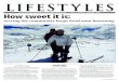 Lifestyles Tab Feb2019 - lawrl.comLIFESTYLES AN ADVERTISING SECTION OF EVERGREEN NEWSPAPERS | VOL. 11 ISSUE 2 • FEBRUARY 2019 FEATURE OF THE MONTH B S K For Mountain Homes & Lifestyles