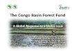 The Congo Basin Forest Fund - Food and Agriculture ...The Congo Basin Forest Fund . A Global Response to a Global Issue. ... •Harvest of a few commercially valuable species •Destructive