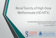 Renal Toxicity of High-Dose Methotrexate (HD-MTX)nephro-necker.org/fr/pdf/2018/19.pdf · 2018-10-15 · Renal Toxicity of High-Dose Methotrexate (HD-MTX) Actualités Néphrologiques