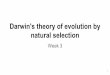 Darwin's theory of evolution by natural selection€¦ · Darwin's theory of evolution by natural selection Week 3 1. Summary * Key concepts check * Explanations of evolutionary change