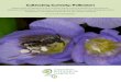 Cultivating Curiosity: PollinatorsCultivating Curiosity: Pollinators Students will be introduced to the parts of a flower and the process of pollination through dissection, exploration,