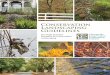 Conservation Landscaping Guidelines CC Landscaping CLCC ... conservation landscaping practices for the