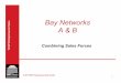 Bay Networks 15.387 Entrepreneurial Sales A & B · Ensure new VP Marketing understands the sales plan and coverage strategy • Especially direct vs. indirect split ... 20 partners