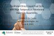 Facilitated Direct Liquid Fuel Cells with High Temperature ... TPS-based high-temperature MEA, same