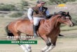 Parelli Center · 2018-10-15 · horsemanship program on the planet and we are deeply committed to leading the industry in horse behavior and empowering horse lovers of every discipline
