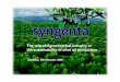 The role of Agrochemical industry in the sustainability of ... · Syngenta is a world-leading agribusiness committed to sustainable agriculture through innovative research and technology