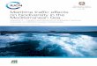 Maritime traffic effects on biodiversity in the Mediterranean Sea · 2013-09-12 · Maritime traffic effects on biodiversity in the Mediterranean Sea Volume 2 - Legal mechanisms to