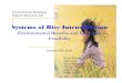 Systems of Rice Intensification - Cornell University 2004...Systems of Rice Intensification Environmental Benefits and Economic Feasibility Sinon Bamidaaye Nora Lovell Grant MacIntyre
