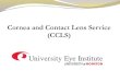 UNIVERSITY EYE INSTITUTE CORNEA AND CONTACT LENS UEI CCLS Fees CCLS Fitting Fees: Global fitting fees: