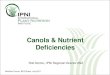 Canola & Nutrient Deficiencies - IPNIanz.ipni.net/ipniweb/region/anz.nsf/0...Diagnosing nutrient deficiencies •Nutrient mobility •Determines if seen in older or younger leaves