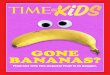 GONE BANANAS? - Time for Kids · 2020-04-03 · Bananas are an important fruit. Millions of people depend on them for food and money. But bananas are in trouble. They are being attacked