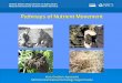 Pathways of Nutrient Movement...The nature and properties of Soil 13. th. edition Nyle C. Brady and Ray R. Weil 2002. Nitrogen Cycle