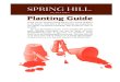 NURSERIES Planting Guide ... - Cloud Object Storage · sun” do well in dappled sunlight. Plants that prefer “full shade” perform best in locations that receive very little direct