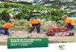 Annual Report 2017 – 2018 - Central Goldfields · Children’s Services • 33 children in three year old kindergarten program • 33 children in four year old kindergarten program
