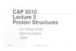 CAP 5510 Lecture 3 Protein Structuressuchen/cap5510fall/ChenLecture... · 2006-10-23 · CAP 5510 Lecture 3 Protein Structures Su-Shing Chen Bioinformatics CISE. 8/19/2005 Su-Shing