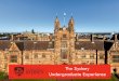 The Sydney Undergraduate Experience - SUN Education Group€¦ · The Sydney undergraduate experience Academic rigour Gain a deep understanding of your chosen disciplines of study