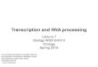 Transcription and RNA processing · Transcription and RNA processing Lecture 7 Biology W3310/4310 Virology Spring 2016 ... in eukaryotic cells. Like the 5′ cap, the 3′ poly(A)