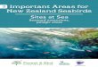 3 Important Areas for New Zealand Seabirds · IMPORTANT AREAS FOR NEW ZEALAND SEABIRDS This document has been prepared for Forest & Bird by Chris Gaskin, IBA Project Coordinator (NZ)