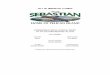 CITY OF SEBASTIAN, FLORIDApublic.cityofsebastian.org/pdfs/City of Sebastian - CAFR 9-30-19 (Final).pdfcollectively comprise the City of Sebastian, Florida’s basic financial statements