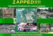 ZAPPED!!!! - RMPC · ZAPPED!!!! Background Leaburg’s historical trout stocking program Produce 240,000 lbs of rainbow trout 400,000 eggs were historically hatched onsite First IHN